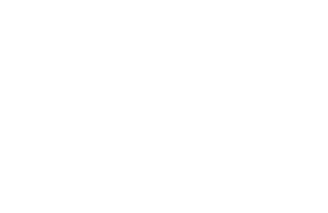 South Carolina Sumters center aligned Logo